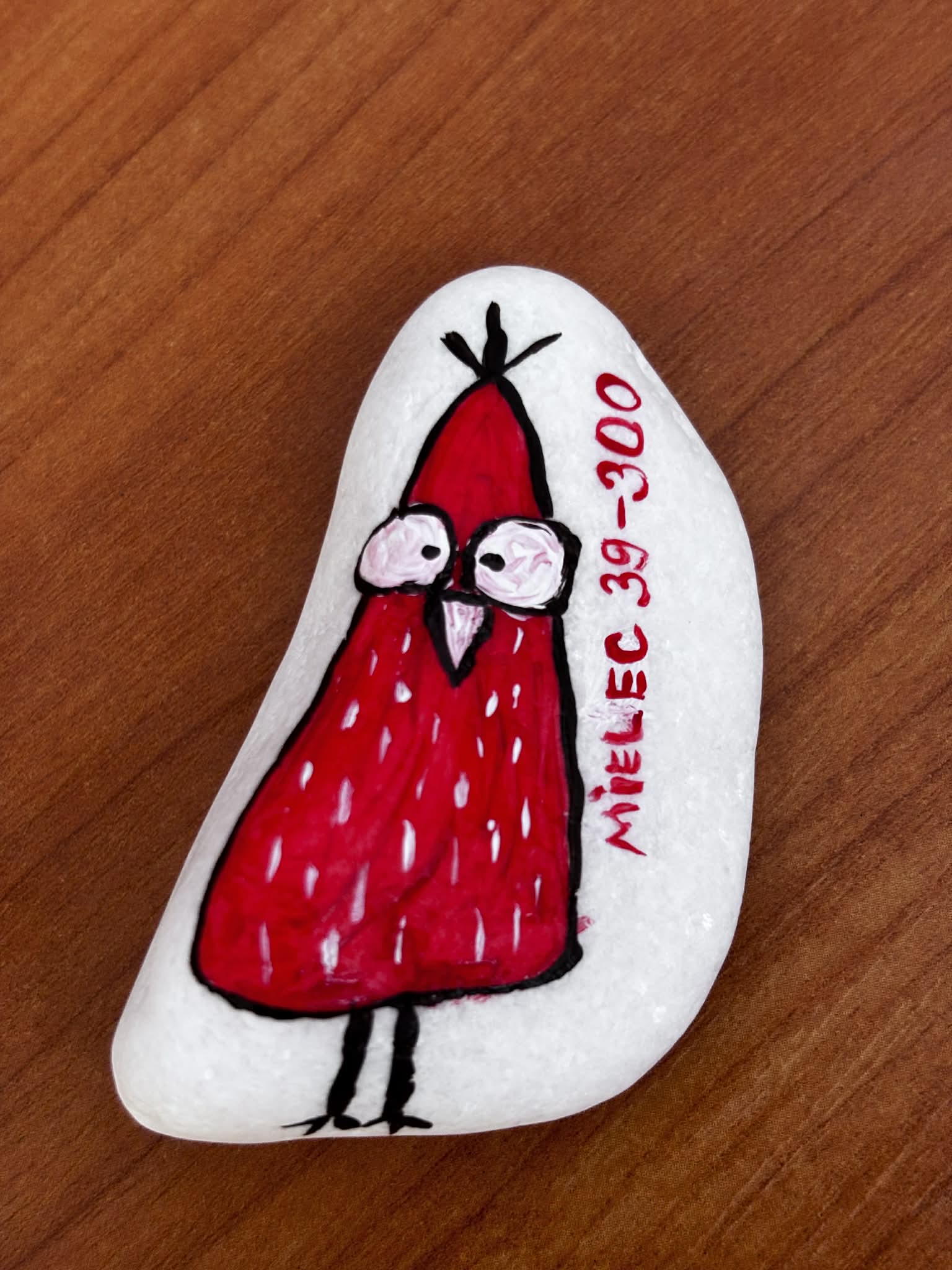 Zdjęcie z wykonywania prac "Kamyczki radości"