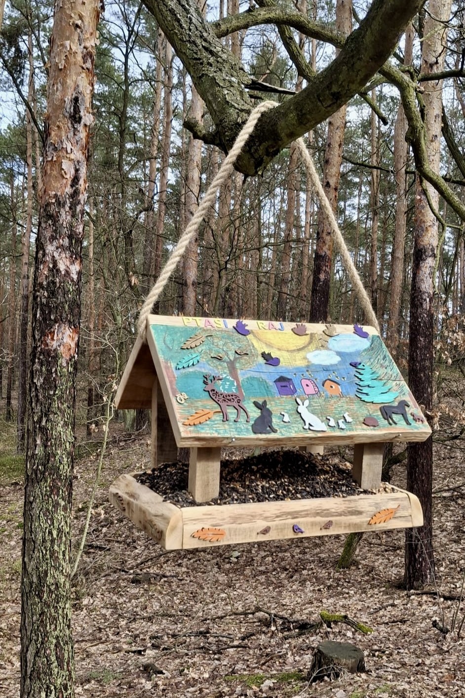 Zdjęcia - Projekt socjalny "Zimowy Las"