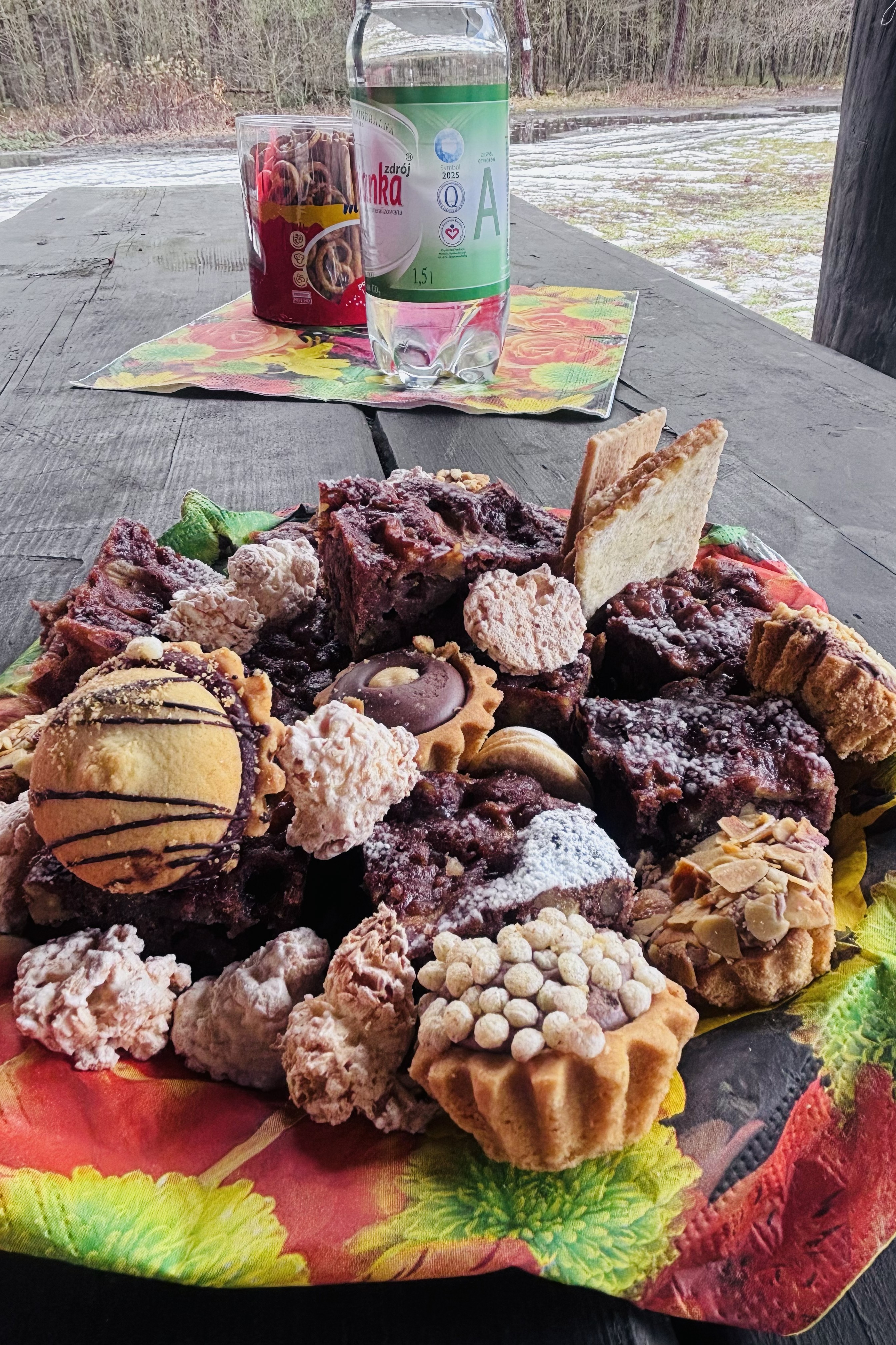 Zdjęcia - Projekt socjalny "Zimowy Las"