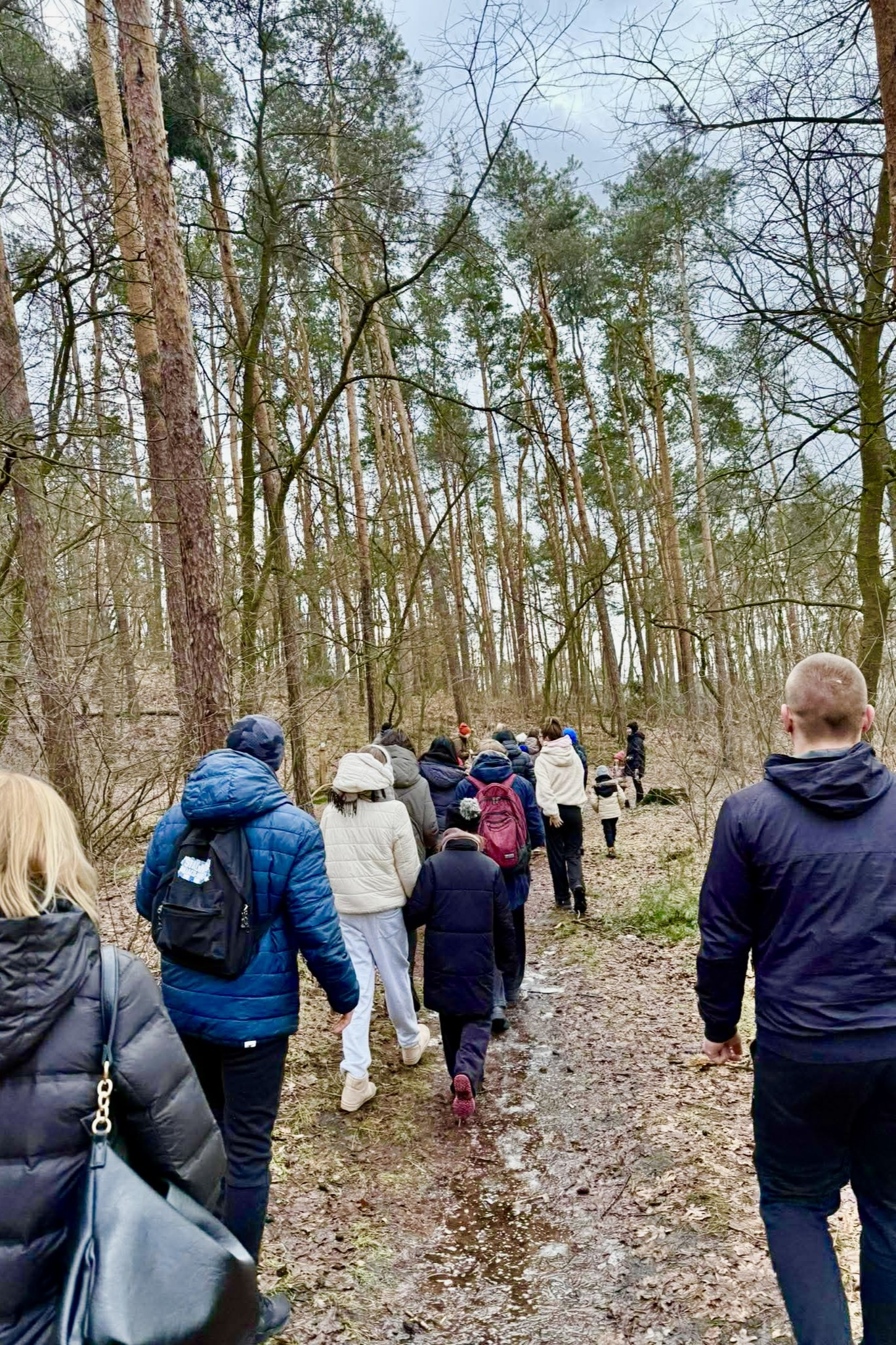 Zdjęcia - Projekt socjalny "Zimowy Las"