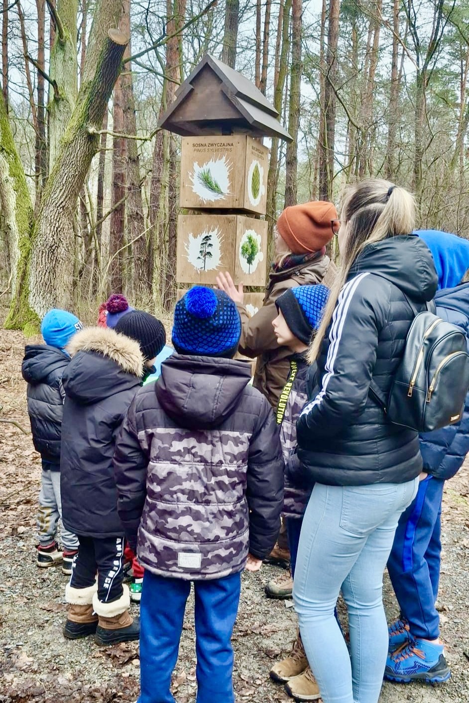 Zdjęcia - Projekt socjalny "Zimowy Las"
