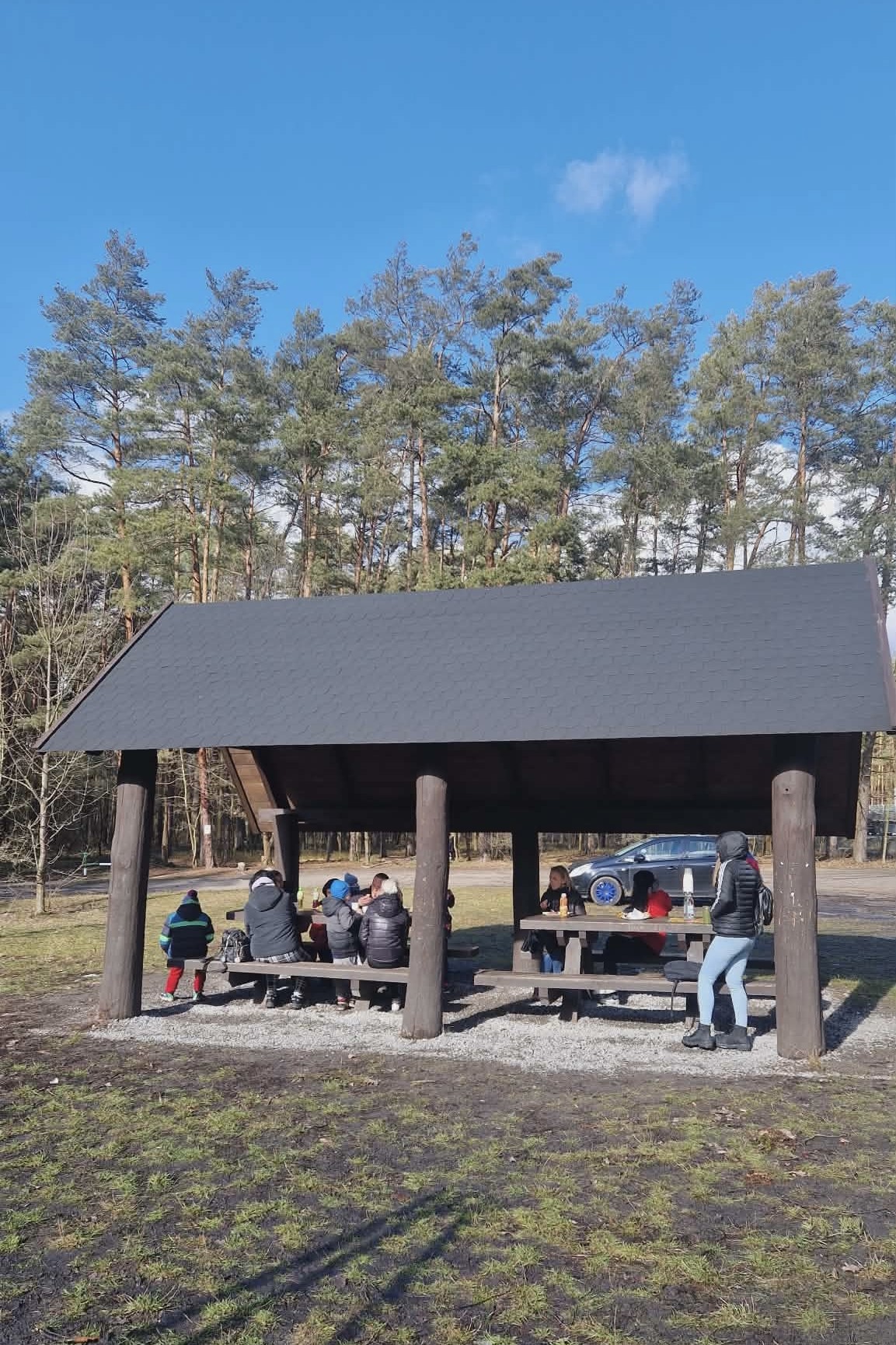 Zdjęcia - Projekt socjalny "Zimowy Las"